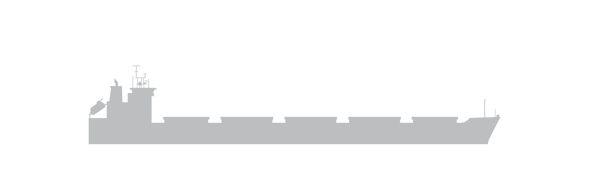 Dry Bulk Carriers